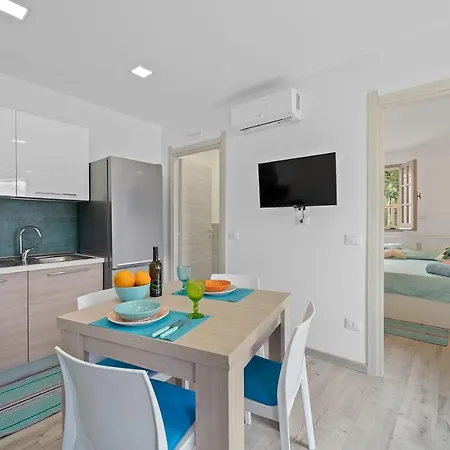 Ikigai * בוג'רו